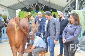  El alcalde de Telde se va con 'Rosita' (Foto TA)